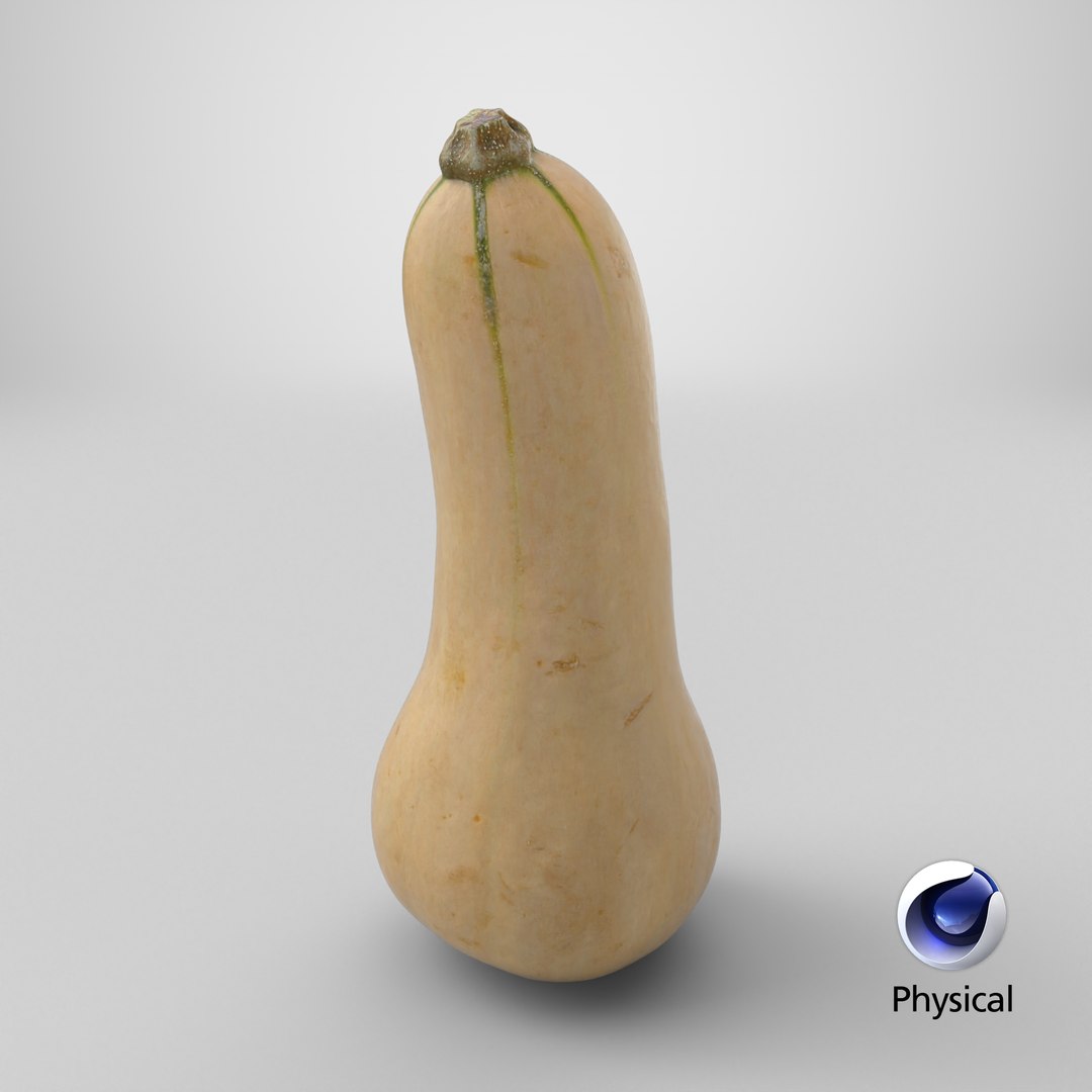 3D model Butternut Squash 01 https://p.turbosquid.com/ts-thumb/0u/CzfmQG/i6/stemcell_cinema_4d_physical_render/png/1765730157/1920x1080/fit_q87/230440126873151f00fedd18535c1b5df44cb54f/stemcell_cinema_4d_physical_render.jpg