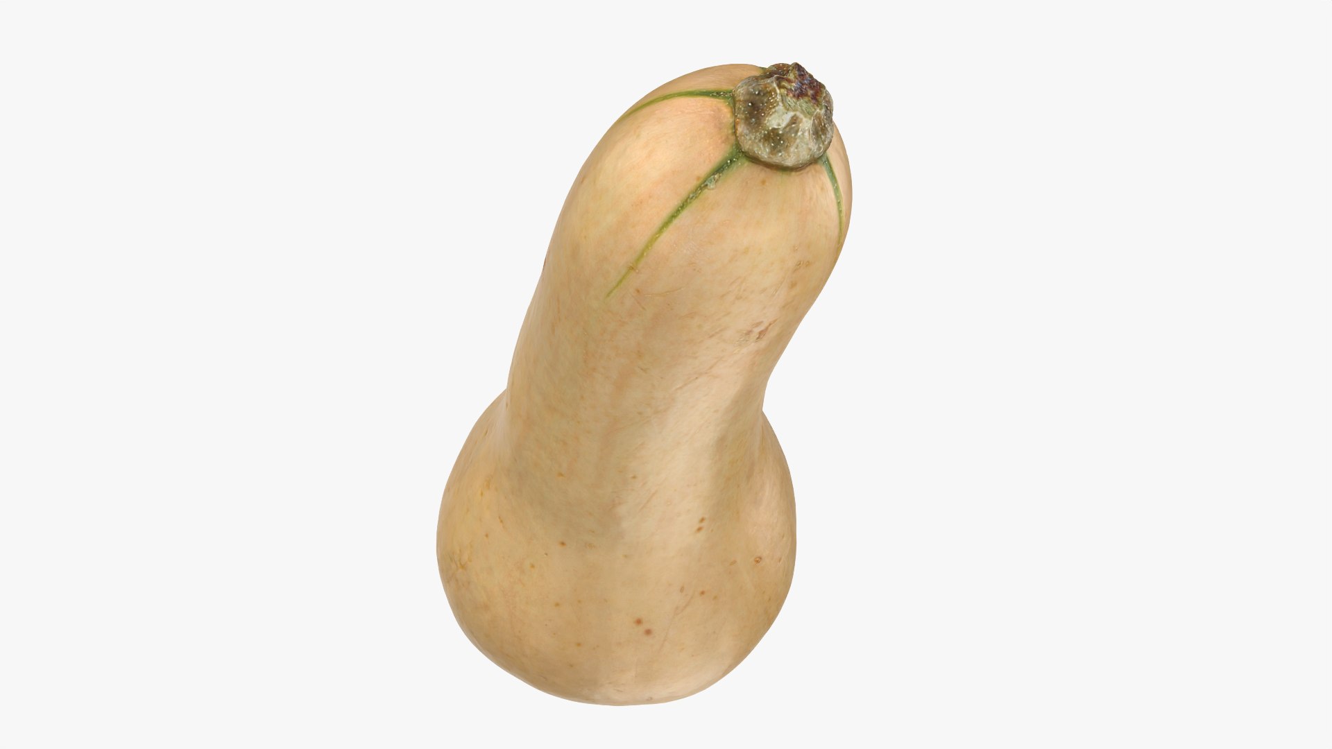 3D model Butternut Squash 01 https://p.turbosquid.com/ts-thumb/0u/CzfmQG/jR/butternutsquash01_0003/png/1763564025/1920x1080/fit_q87/7cde27e077c2c3f0c8c5696e657a550f2eb5efc0/butternutsquash01_0003.jpg