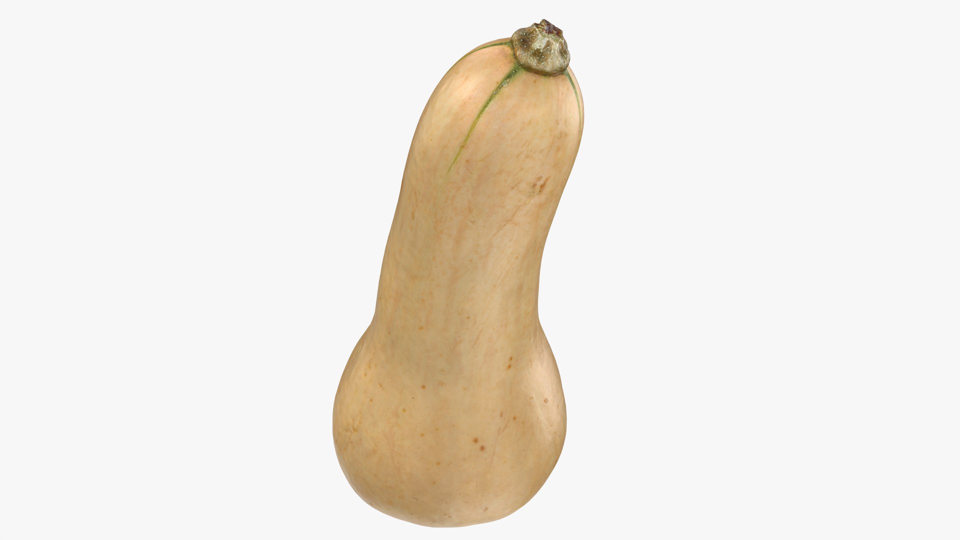 3D model Butternut Squash 01 https://p.turbosquid.com/ts-thumb/0u/CzfmQG/mf/butternutsquash01_0010/png/1763564041/1920x1080/fit_q87/eceeee91decec5352e9d00cd27e7fee2df5d38eb/butternutsquash01_0010.jpg