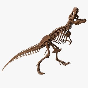 Tyrannosaurus Rex Skeleton 03 a