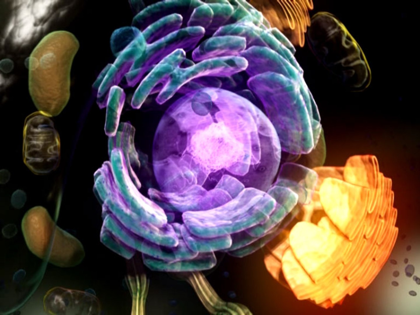 max cell https://p.turbosquid.com/ts-thumb/0u/u0uEa2/MOdEqtZu/celldetail03/jpg/1231266935/1920x1080/fit_q87/a806114f911b524213443fec115be6d262c7f2df/celldetail03.jpg