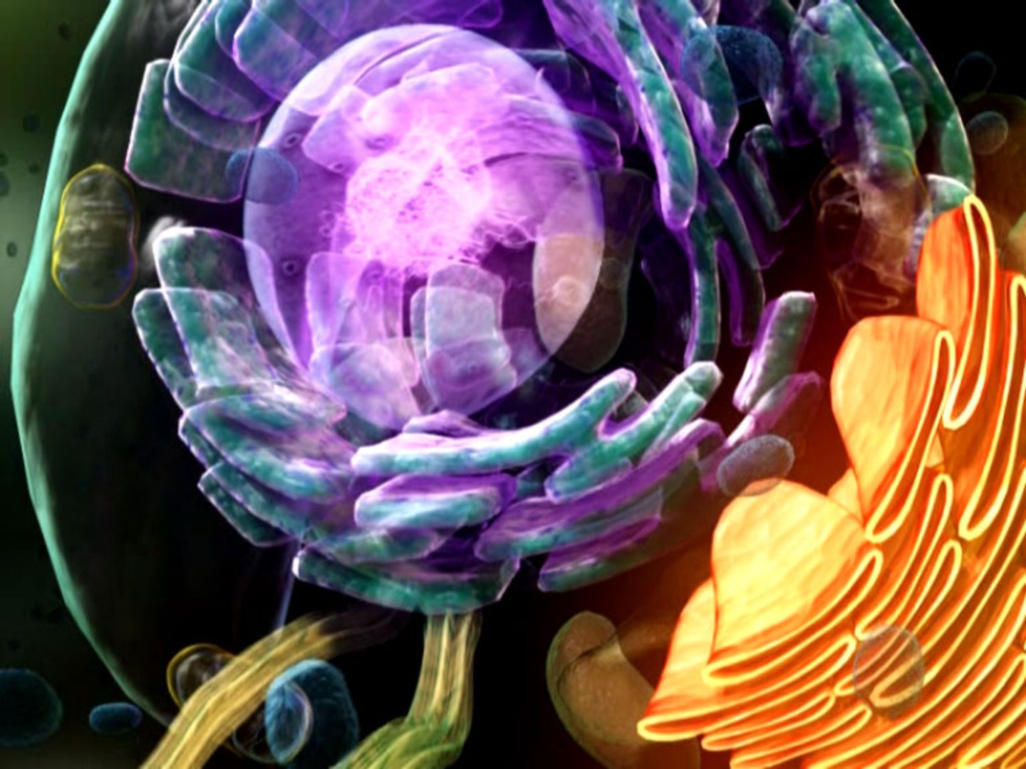 max cell https://p.turbosquid.com/ts-thumb/0u/u0uEa2/hsOsRJXA/celldetaill02/jpg/1231266927/1920x1080/fit_q87/0efc61bf0642a7f50f37390a67c5a8f001fb6997/celldetaill02.jpg