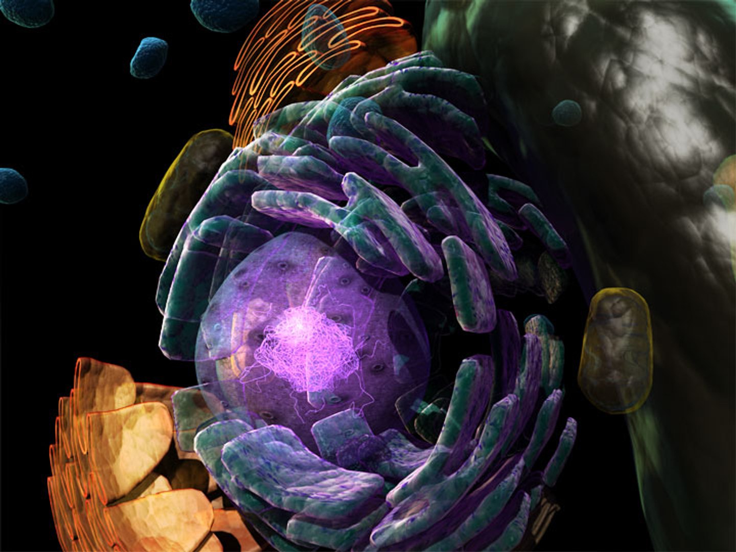 max cell https://p.turbosquid.com/ts-thumb/0u/u0uEa2/sSbpnaWu/celldetail04/jpg/1231266946/1920x1080/fit_q87/5e626261c7bc9ae0c2014d51584c87b1ee178b42/celldetail04.jpg