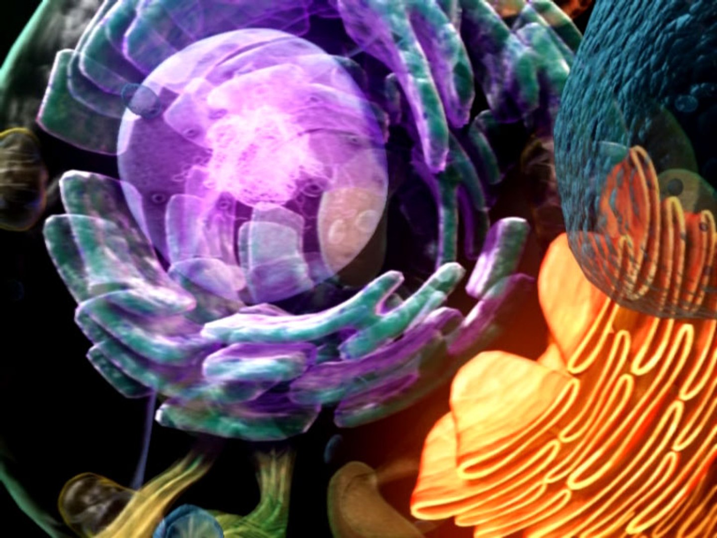 max cell https://p.turbosquid.com/ts-thumb/0u/u0uEa2/sdVwwYiL/celldetail01/jpg/1231266917/1920x1080/fit_q87/237e0c98b850fcb1ed2f0947d759d20b57a1664b/celldetail01.jpg