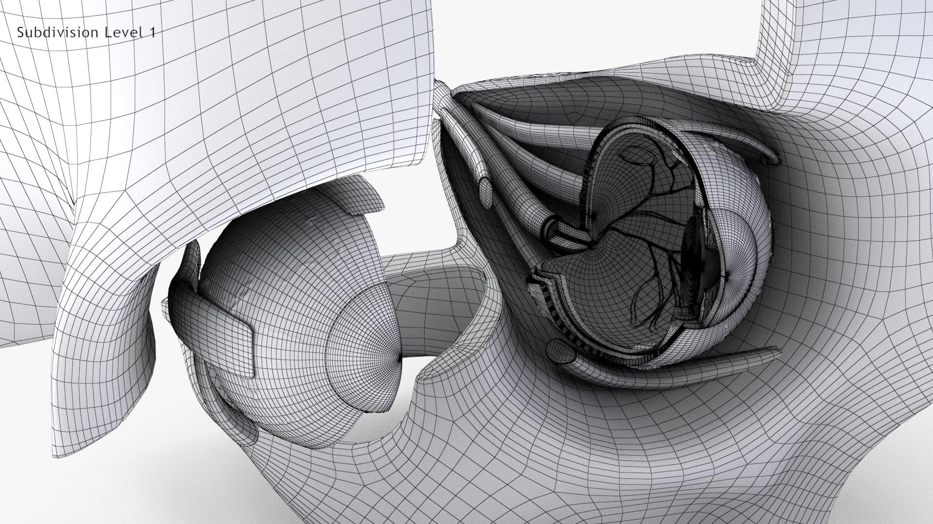 3D human eye anatomical cross section model https://p.turbosquid.com/ts-thumb/0u/yEh26o/UxD6ScDL/wire0_0002/jpg/1576157481/1920x1080/fit_q87/df3fe73836f8a452149abd766a3ac0b1a0f68798/wire0_0002.jpg