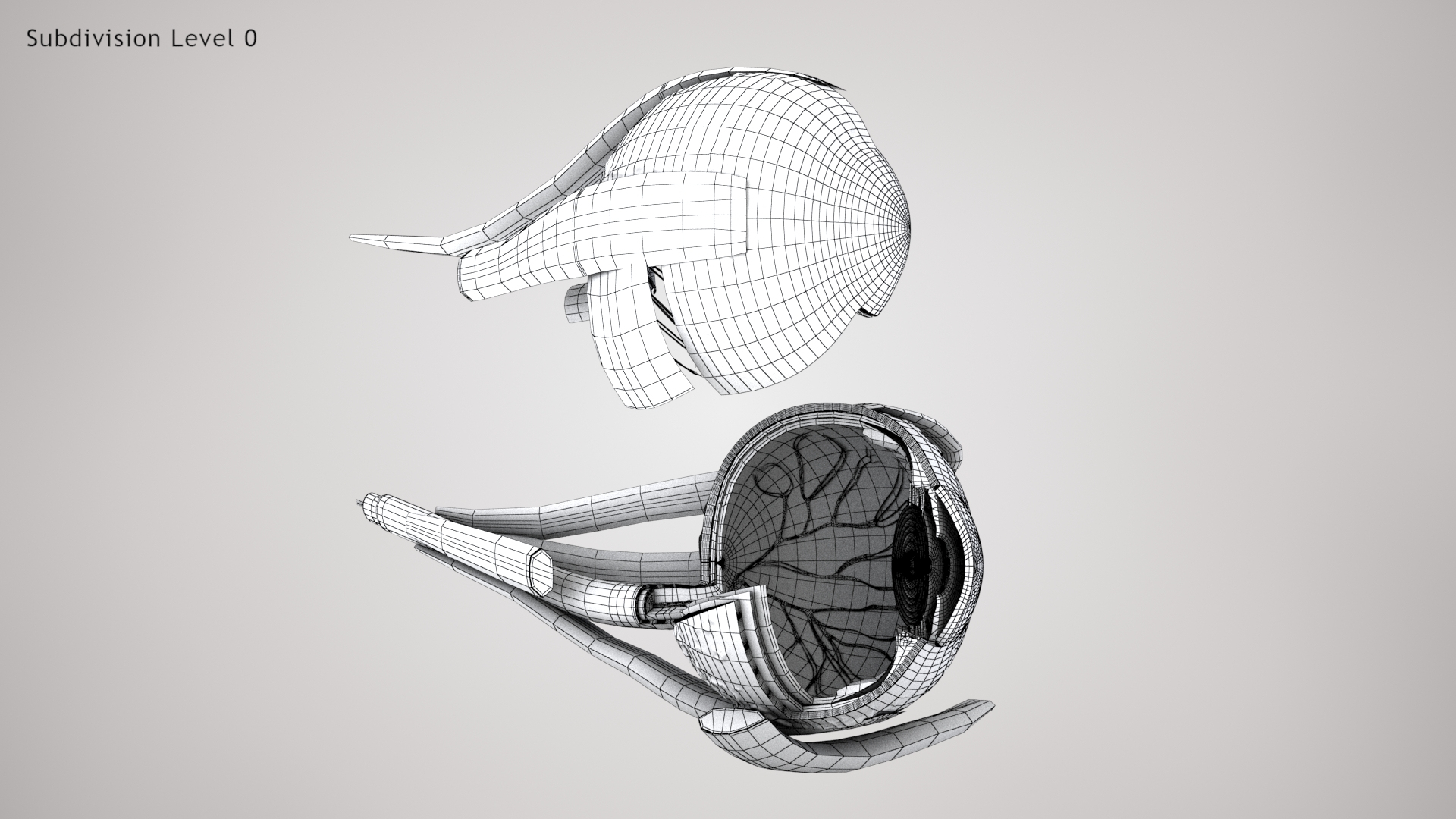 3D human eye anatomical cross section model https://p.turbosquid.com/ts-thumb/0u/yEh26o/WjVTRhSK/wire/jpg/1576158313/1920x1080/turn_fit_q99/5c6b2bdc08285a162f8397aa1c17959b4b52b3de/wire-1.jpg
