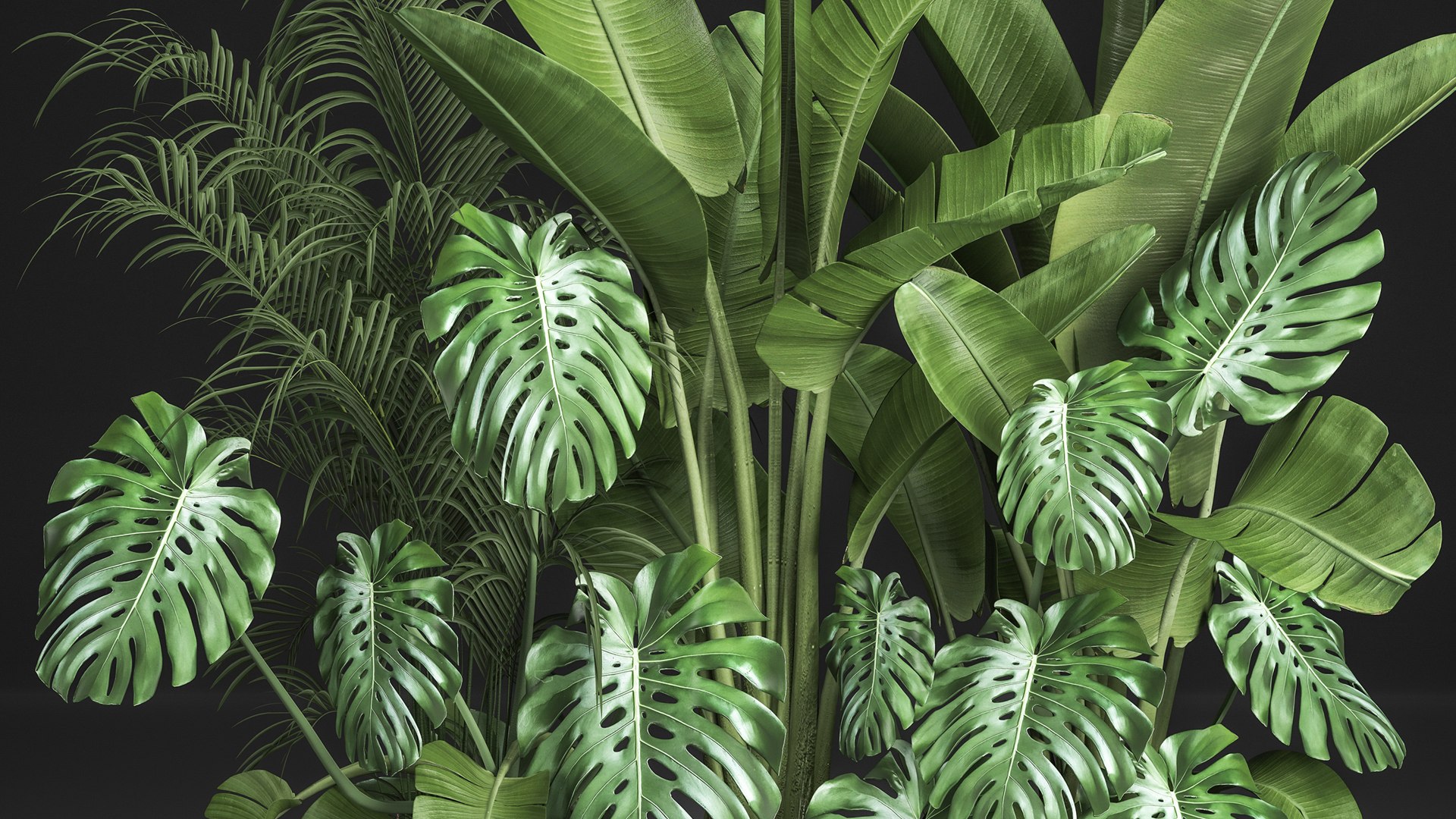 Houseplants in a flowerpot for the interior 937 3D https://p.turbosquid.com/ts-thumb/0v/3qeJpQ/Ix/1plants2104202104/jpg/1619006795/1920x1080/fit_q87/20b058aa7ccc1eb2674ae0e2e51fad3082c5aa64/1plants2104202104.jpg