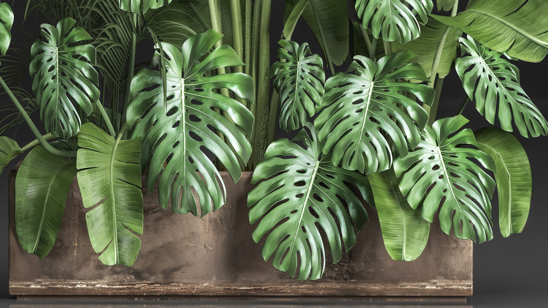 Houseplants in a flowerpot for the interior 937 3D https://p.turbosquid.com/ts-thumb/0v/3qeJpQ/JE/1plants2104202103/jpg/1619006795/1920x1080/fit_q87/6a349748fe66b29cb72fdbdab353e98329a0041e/1plants2104202103.jpg