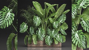 Houseplants in a flowerpot for the interior 937