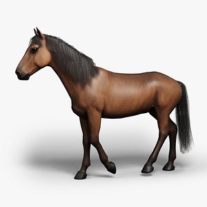 Horse  Animated 3D model