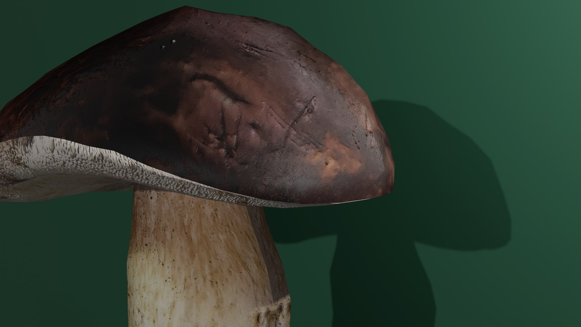 3D cep mushroom https://p.turbosquid.com/ts-thumb/0v/FRMKw2/50MZSy1W/mushroom3/png/1605840772/1920x1080/fit_q87/014136efd9477435382553cdf5a20f4a26253f1e/mushroom3.jpg