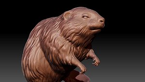 3D muskrat