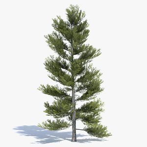 Low Poly Pine Tree 2