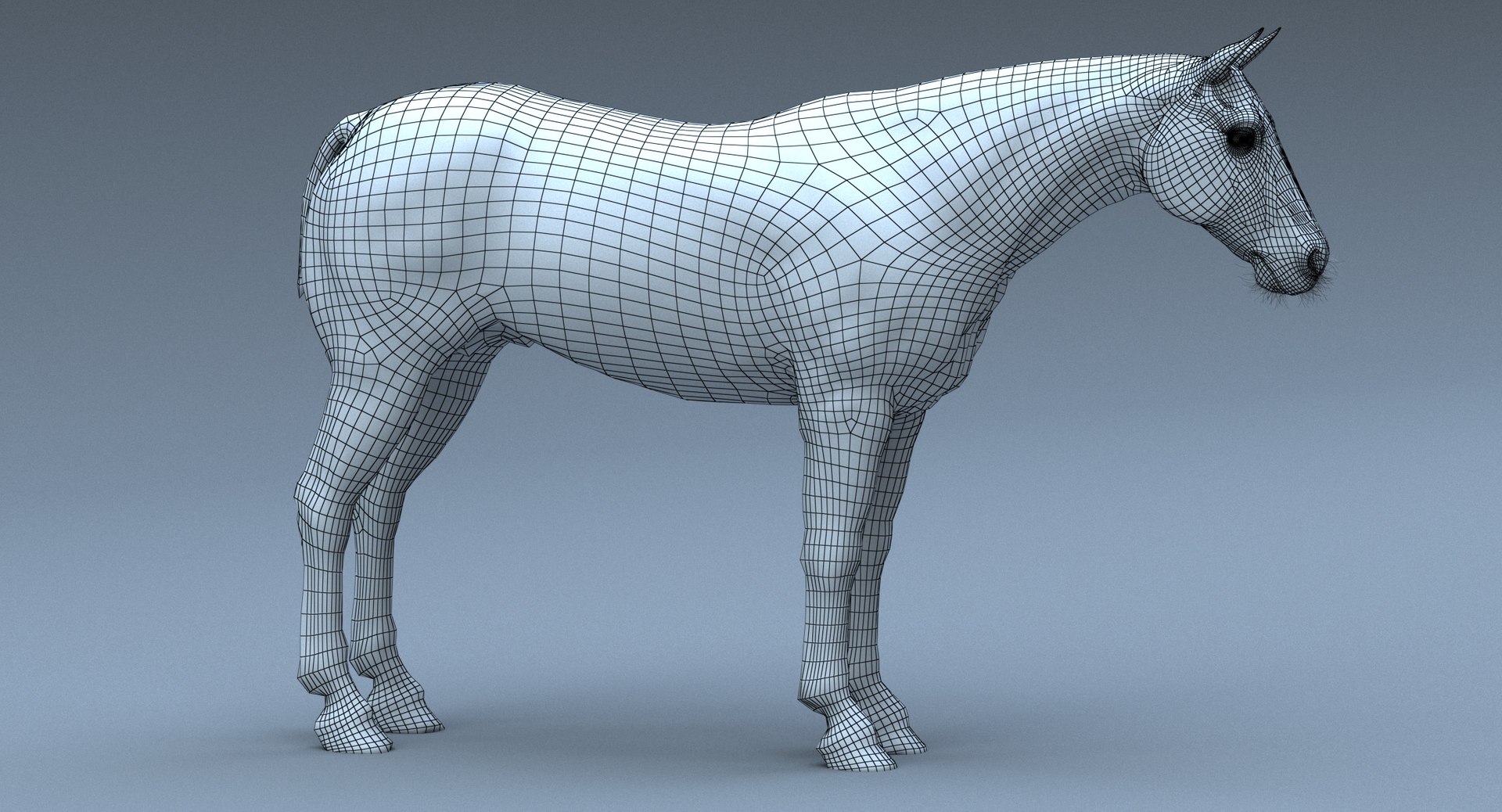 Pegasus Winged White Horse model https://p.turbosquid.com/ts-thumb/0v/LIuspV/dZ/19/jpg/1658841297/1920x1080/fit_q87/b3e435b0ab5b71b81f3c783ba77c601c4e15d8b7/19.jpg