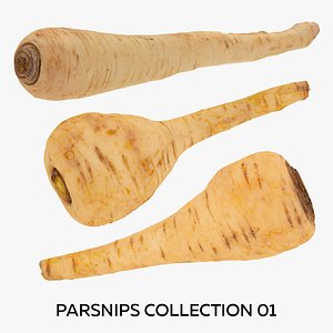 3D Parsnips Collection 01 - 3 models RAW Scans
