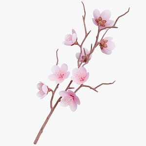 SakuraBranches 01
