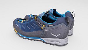 Pair of hiking shoes sneakers outdoor footwear