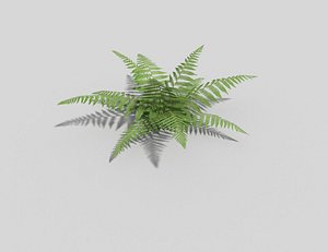 3d fern games