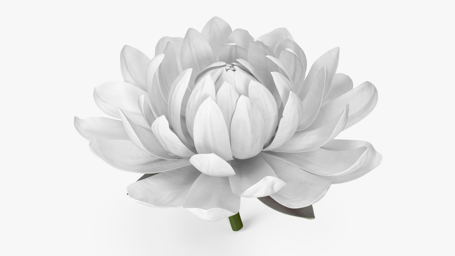 3D Floral Plants Collection 3 model https://p.turbosquid.com/ts-thumb/0v/WaqQrI/yj/floral_plants_collection_3_006/jpg/1755774598/1920x1080/fit_q87/84514bdf36d64f647e0f346a765b67f9fe346ab2/floral_plants_collection_3_006.jpg