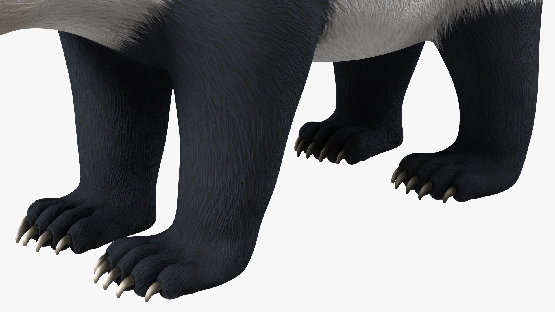 Giant Panda 3D model https://p.turbosquid.com/ts-thumb/0v/YSryKq/0l/giantpanda3dmodel011/jpg/1636982065/1920x1080/fit_q87/35d234de87eda290b458964cb34d51b63e259b5d/giantpanda3dmodel011.jpg