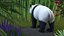 Giant Panda 3D model