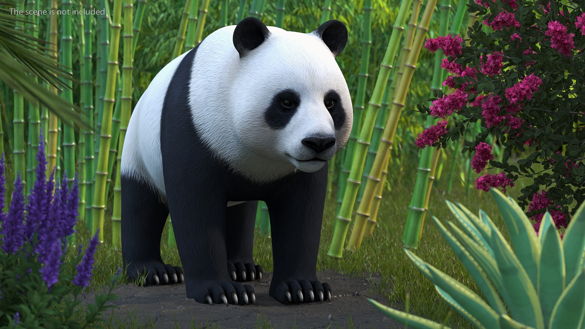 Giant Panda 3D model https://p.turbosquid.com/ts-thumb/0v/YSryKq/HJ/giantpanda3dmodel003/jpg/1636982041/1920x1080/fit_q87/990cdd7b5b8607304d66e5975c41fa931c792da8/giantpanda3dmodel003.jpg