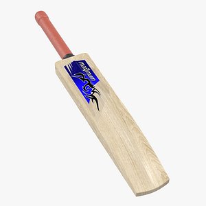 cricket bat maximum sport 3d model
