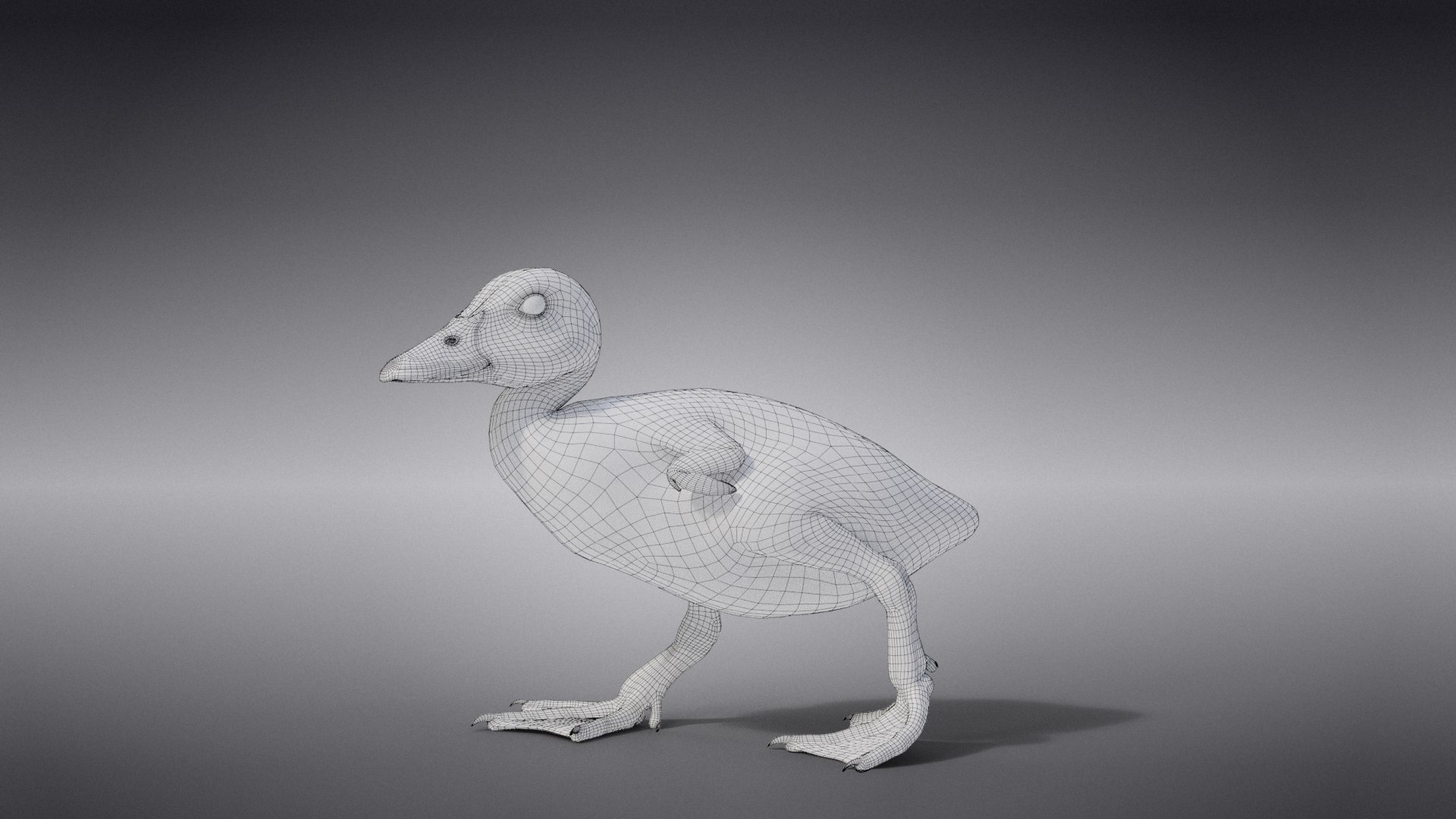 3D Duckling Animated model https://p.turbosquid.com/ts-thumb/0v/xN4ta6/4V/jc0jb11a0_duckling_wire02/png/1647568948/1920x1080/fit_q87/92e553aefd5b78014c34c69c59feb9048c7318f1/jc0jb11a0_duckling_wire02.jpg