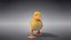 Duckling Animated