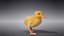 Duckling Animated