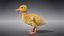 Duckling Animated