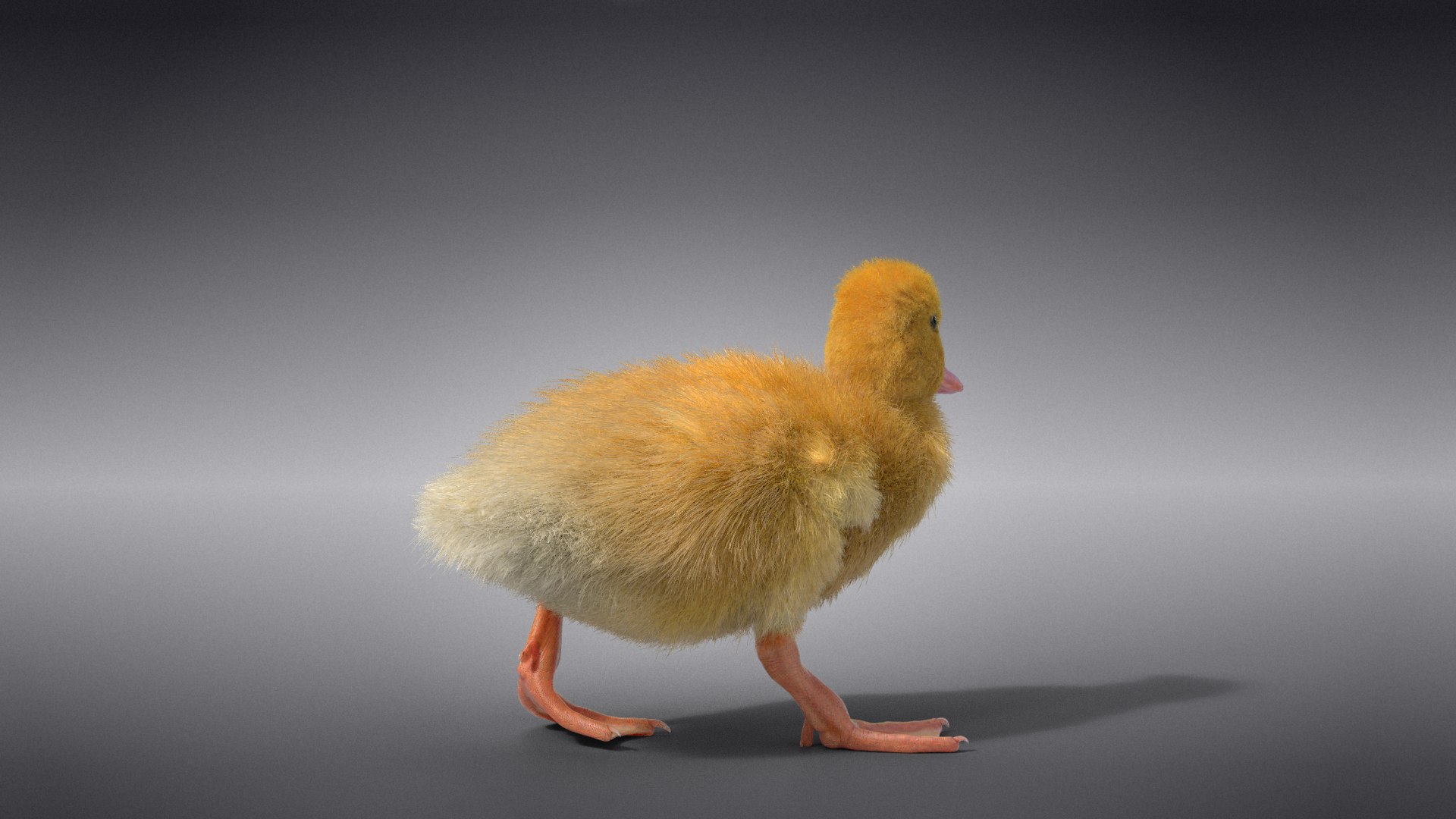 3D Duckling Animated model https://p.turbosquid.com/ts-thumb/0v/xN4ta6/aL/jc0jb11a0_duckling_effectmap04/png/1647568924/1920x1080/fit_q87/834e52cce034a7a83f82c7e24af43abbd7a784d8/jc0jb11a0_duckling_effectmap04.jpg