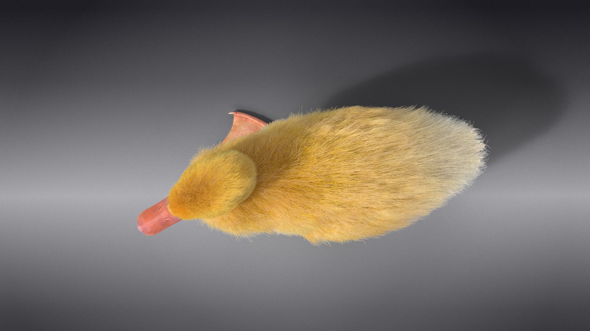 3D Duckling Animated model https://p.turbosquid.com/ts-thumb/0v/xN4ta6/pE/jc0jb11a0_duckling_effectmap05/png/1647568928/1920x1080/fit_q87/24c2563e09f6e3bbca002125e747fb396fe09099/jc0jb11a0_duckling_effectmap05.jpg