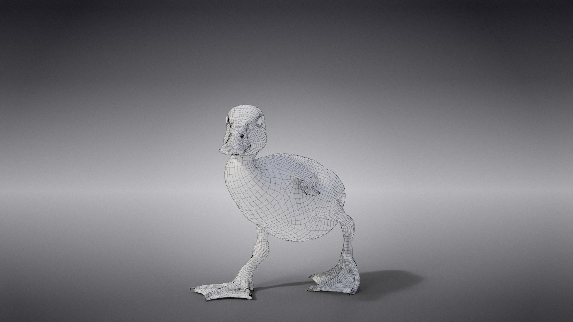 3D Duckling Animated model https://p.turbosquid.com/ts-thumb/0v/xN4ta6/pq/jc0jb11a0_duckling_wire01/png/1647568947/1920x1080/fit_q87/6e9cbe25eef28900aa1ba281ca13bc936a783768/jc0jb11a0_duckling_wire01.jpg