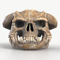 Orc Skull 1