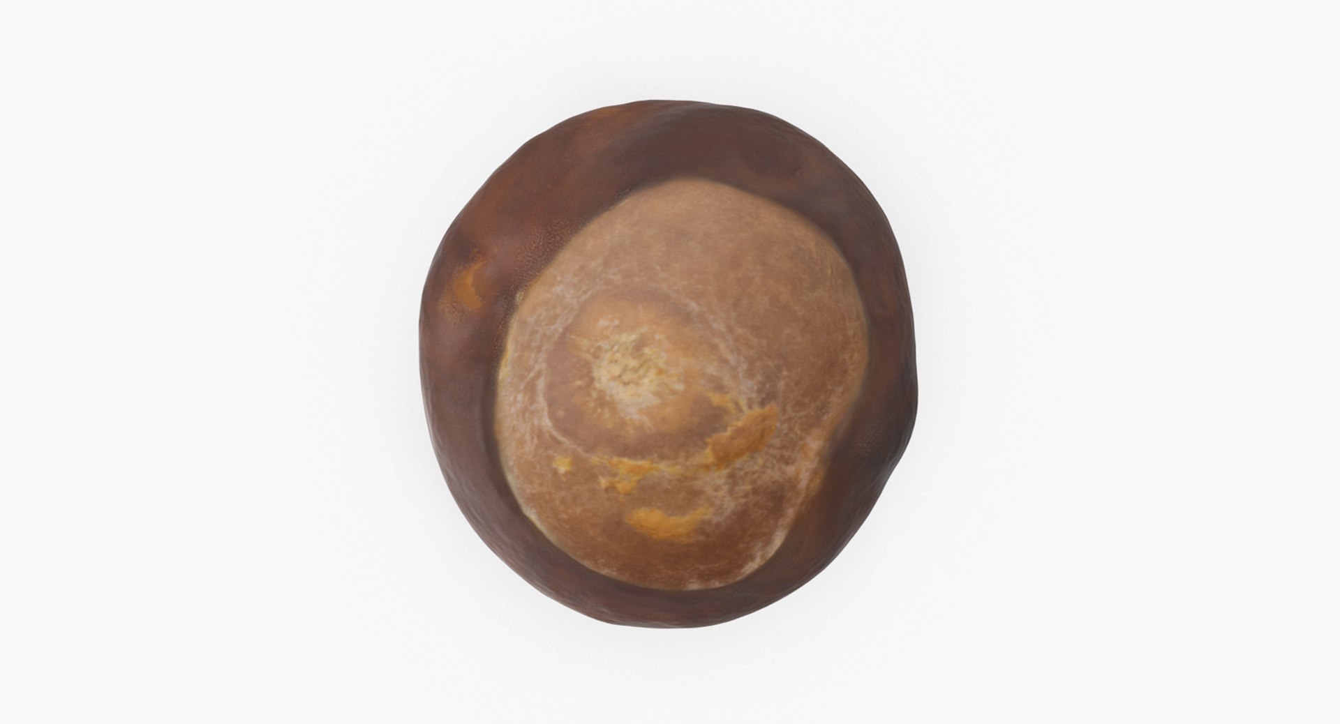 chestnut 2 3D model https://p.turbosquid.com/ts-thumb/0w/961WLe/82gmjzgP/chestnut_2_01/png/1506924428/1920x1080/fit_q87/aa0f464259a0a46b5adae2c9c219836142ab32be/chestnut_2_01.jpg