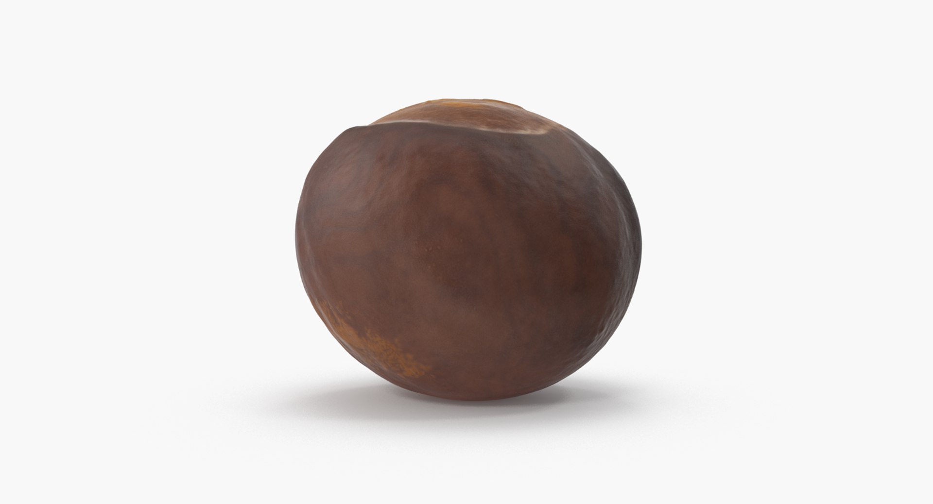 chestnut 2 3D model https://p.turbosquid.com/ts-thumb/0w/961WLe/Eg5I6cYs/chestnut_2_05/png/1506924429/1920x1080/fit_q87/81ab607f179b2ae31531d3342e615f384d1a83be/chestnut_2_05.jpg