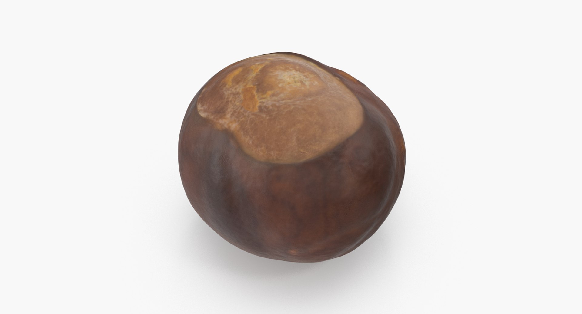 chestnut 2 3D model https://p.turbosquid.com/ts-thumb/0w/961WLe/Nj1smQ4x/chestnut_2_02/png/1506924428/1920x1080/fit_q87/caeeabec8637e85d5ffd3da02a01de1664aaf010/chestnut_2_02.jpg