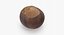 Chestnut 2