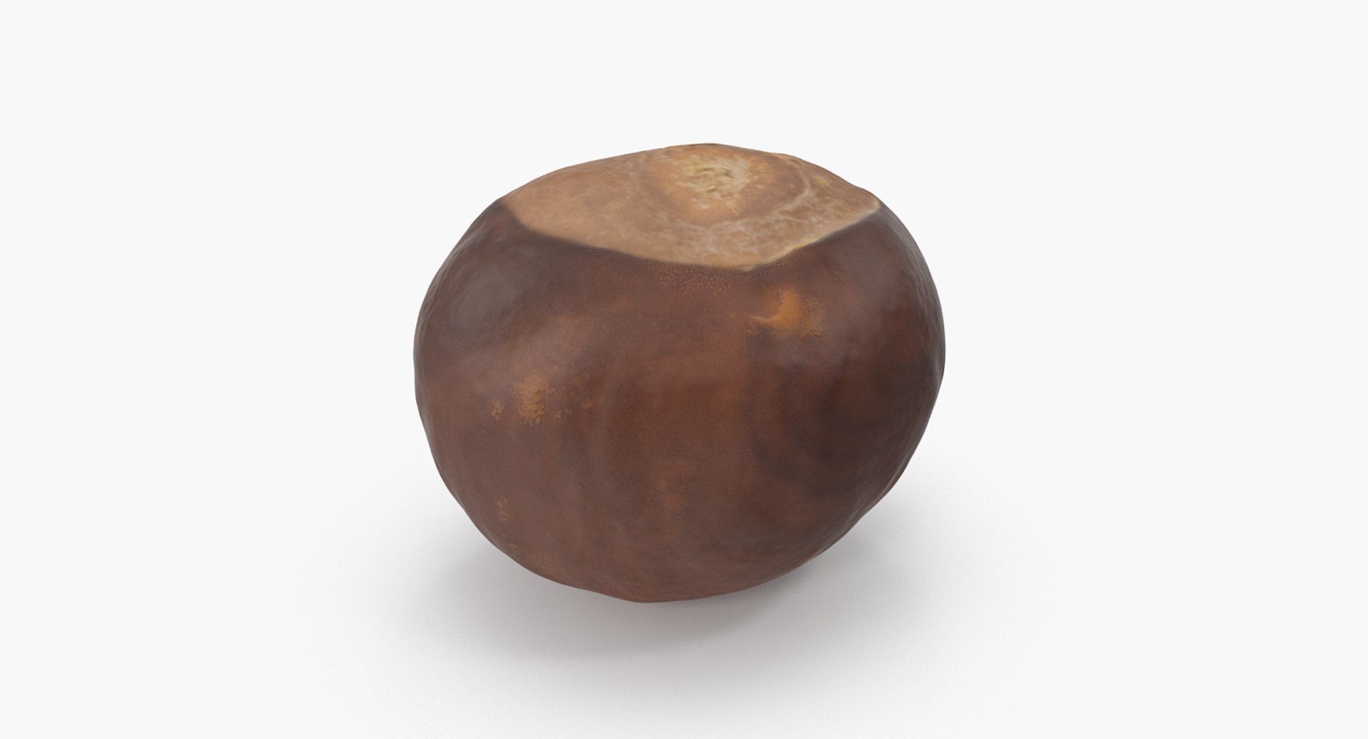 chestnut 2 3D model https://p.turbosquid.com/ts-thumb/0w/961WLe/VyYorVAk/chestnut_2_04/png/1506924429/1920x1080/fit_q87/c6880aeb471d287e42e19aab4cc13e8eda0f3248/chestnut_2_04.jpg