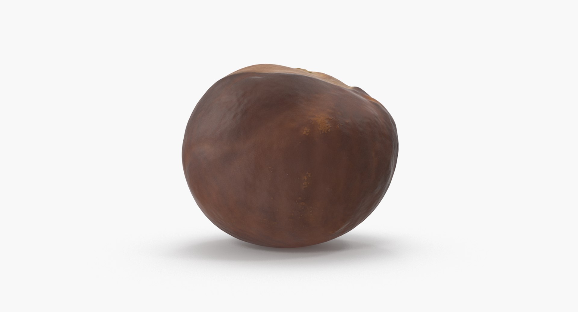 chestnut 2 3D model https://p.turbosquid.com/ts-thumb/0w/961WLe/XzsoSy8U/chestnut_2_07/png/1506924429/1920x1080/fit_q87/160a6290a7652280266dd9696660e445aeadad66/chestnut_2_07.jpg