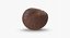 Chestnut 2