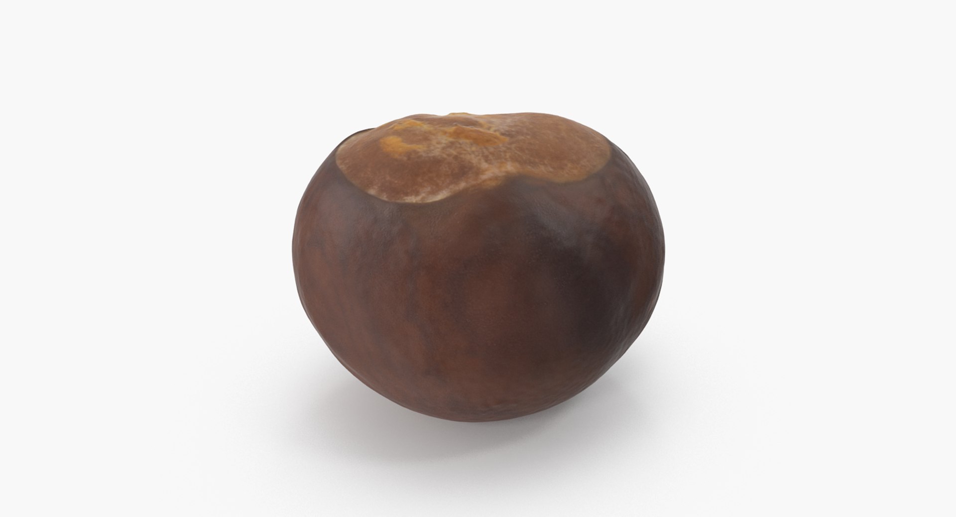 chestnut 2 3D model https://p.turbosquid.com/ts-thumb/0w/961WLe/anxzS20x/chestnut_2_03/png/1506924428/1920x1080/fit_q87/c5b8654d329d2c46692c3f3368d189703362cee1/chestnut_2_03.jpg