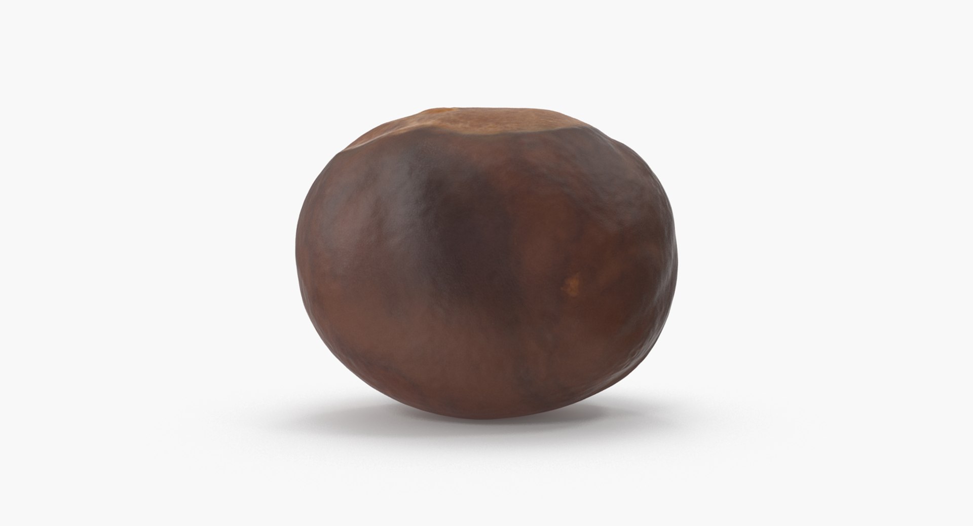 chestnut 2 3D model https://p.turbosquid.com/ts-thumb/0w/961WLe/gxUXZYd8/chestnut_2_06/png/1506924429/1920x1080/fit_q87/822561f7a038559103899e3e248f2b0e7e193ca0/chestnut_2_06.jpg