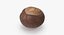 Chestnut 2