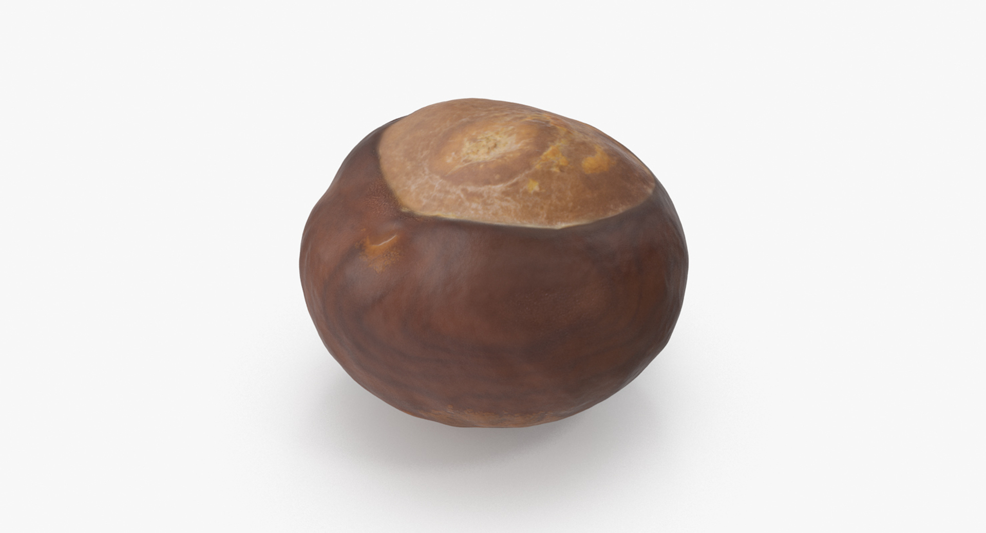 chestnut 2 3D model https://p.turbosquid.com/ts-thumb/0w/961WLe/vks3OoS7/chestnut_1_turntable/jpg/1506924640/1920x1080/turn_fit_q99/fdc05d6b48ea0c088e62a5ec6a0a678535698c5d/chestnut_1_turntable-1.jpg