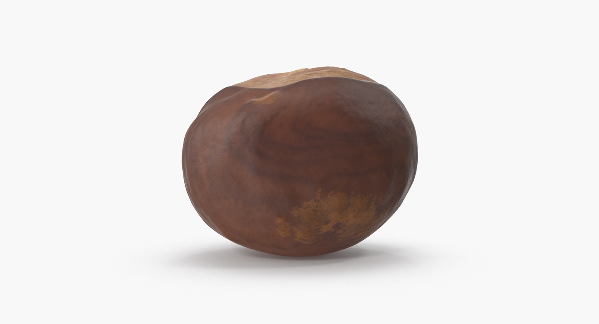 chestnut 2 3D model https://p.turbosquid.com/ts-thumb/0w/961WLe/wcThlN3l/chestnut_2_08/png/1506924429/1920x1080/fit_q87/69e93577b2e9e9ccda078624622fd01ad07ee656/chestnut_2_08.jpg