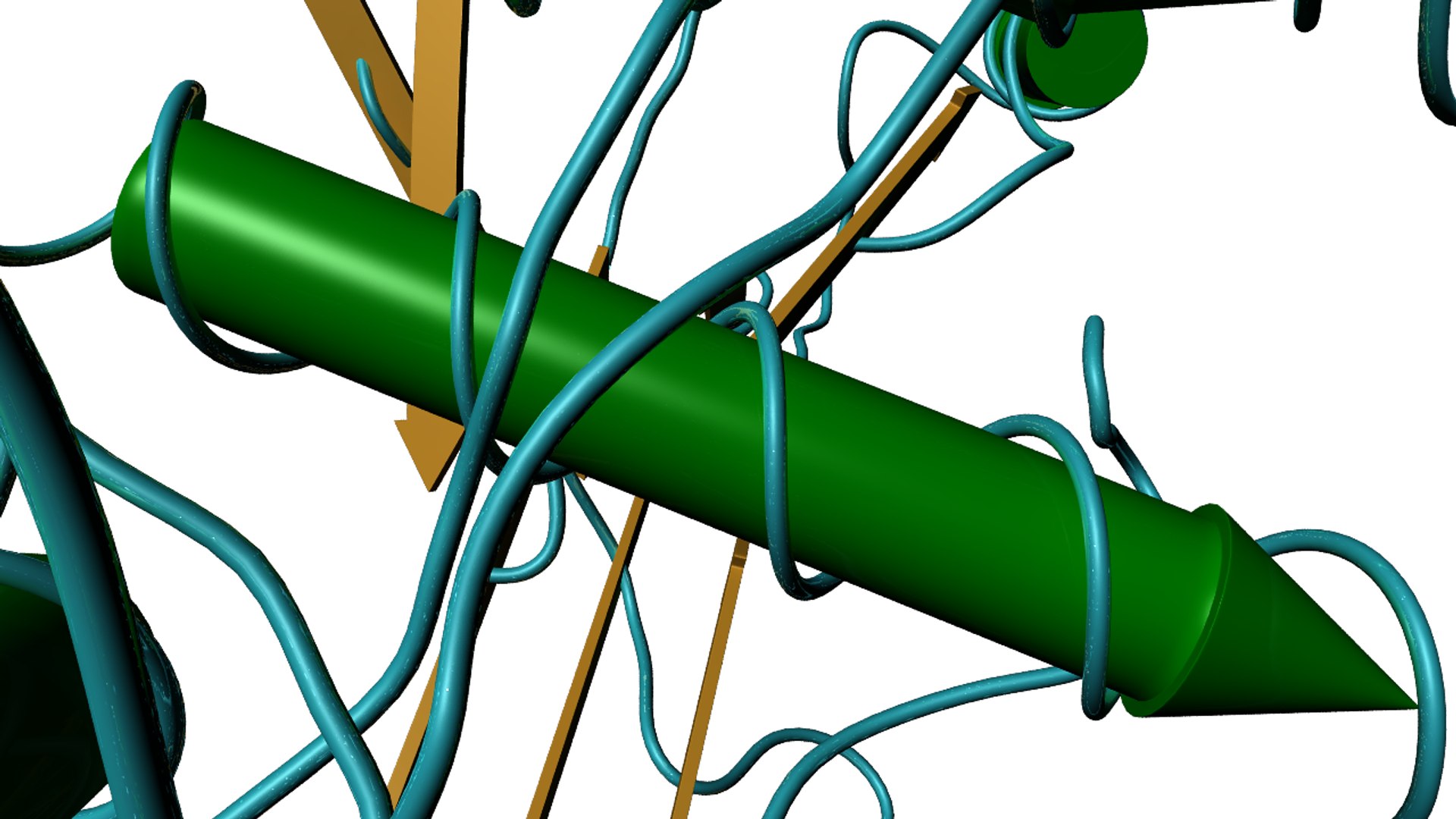 3d model hemocyanin https://p.turbosquid.com/ts-thumb/0w/KMG1y8/lIvsBSB8/hemocyanin_05/png/1393957780/1920x1080/fit_q87/cd490782f15df574d3171ad04d5f47e40b35c330/hemocyanin_05.jpg