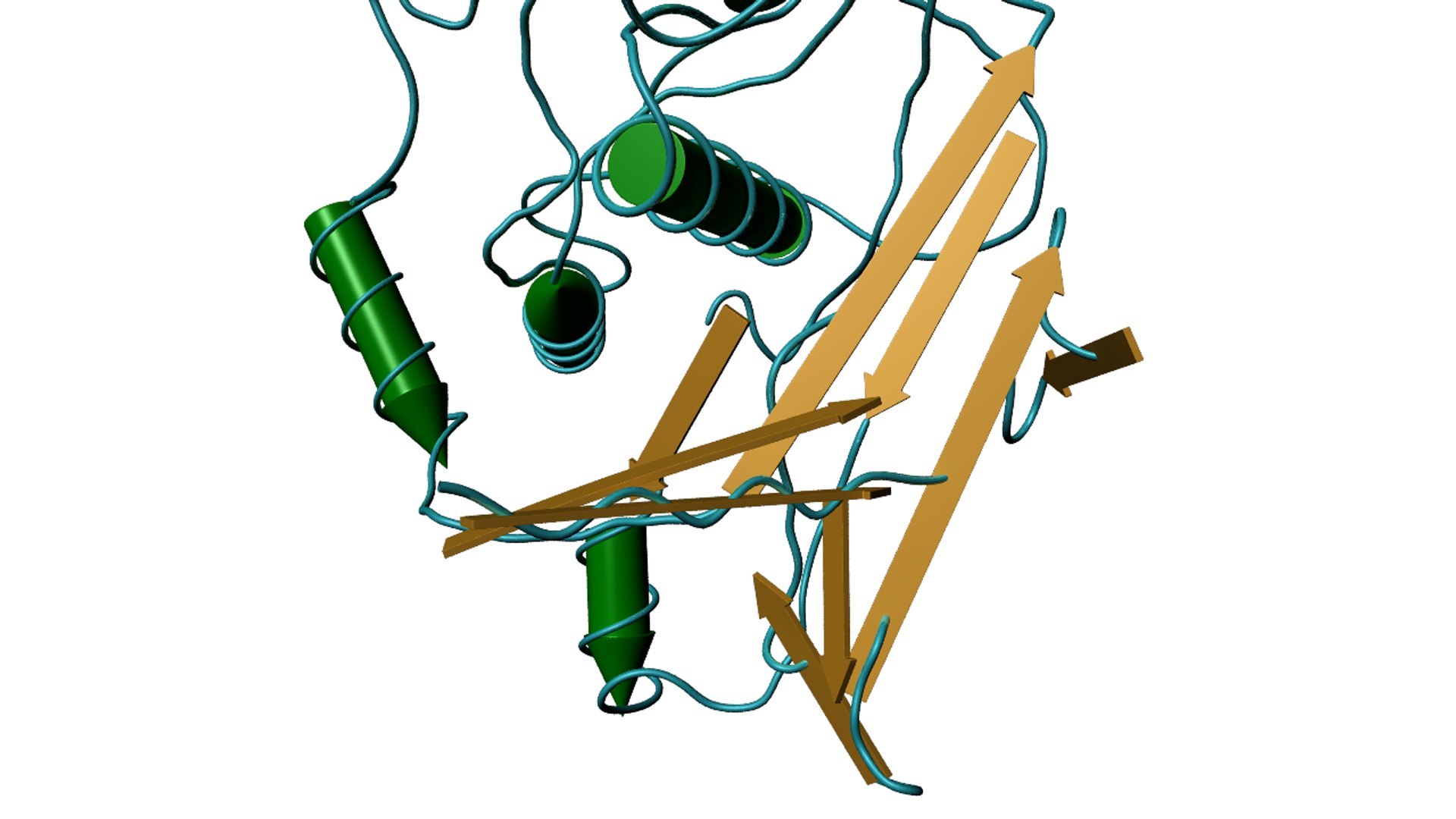 3d model hemocyanin https://p.turbosquid.com/ts-thumb/0w/KMG1y8/vyWeXFx1/hemocyanin_03/png/1393957780/1920x1080/fit_q87/6c59f48efed12c50d6052a9951860a0a0b1aecaa/hemocyanin_03.jpg