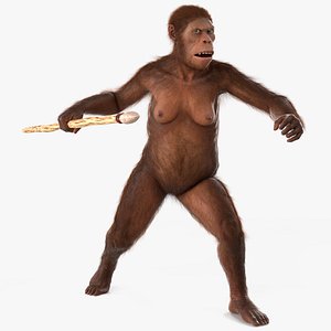 3D Prehistoric Hominid with Wooden Spear Fur for Cinema 4D